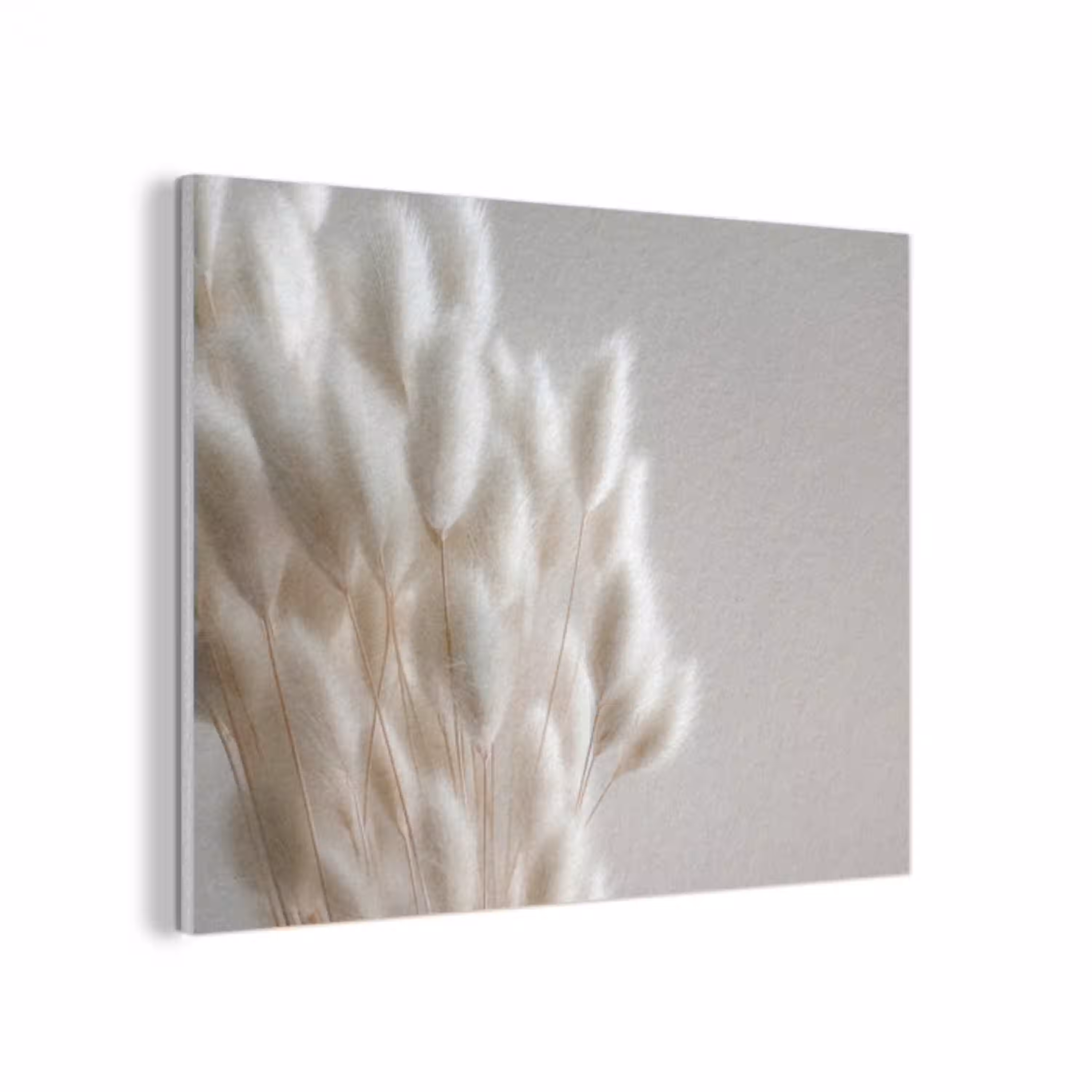 Pluimen - Beige - Minimalistisch PET vilt klein -3d