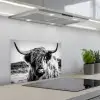 Schotse hooglander - Natuur - Koe - Zwart - Wit keuken achterwand spatscherm klein -3d_schuin
