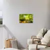 Bos - Landschap - Water - Bomen - Zon - Groen - Natuur Tuinposter op houten frame 2 cm dik klein -sfeer1