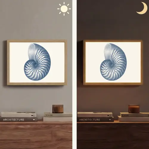 Blauw - Schelp - Spiraal Light Box met batterij (Wandlamp) middel -sfeer3