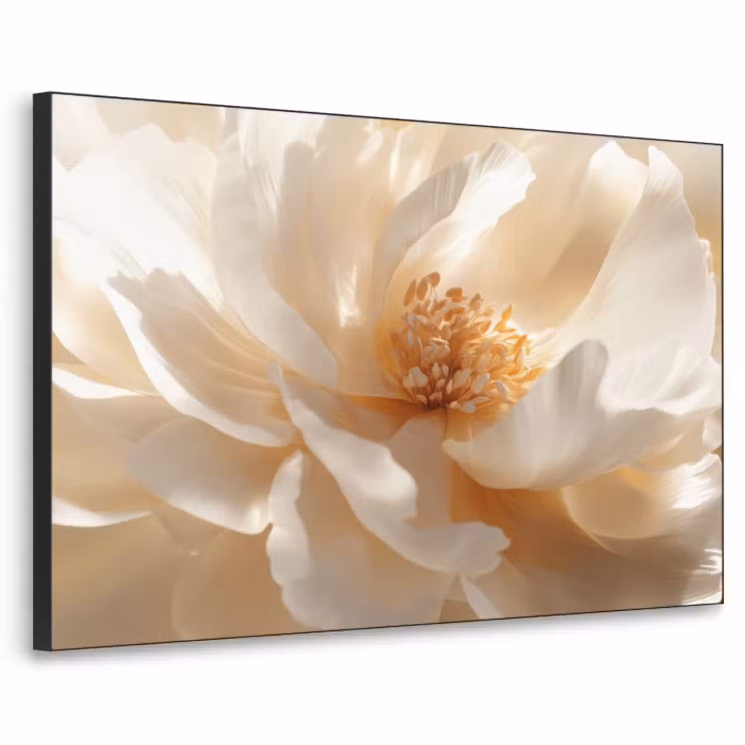 Art Frame - Nahaufnahme - Pfingstrose - Weiß