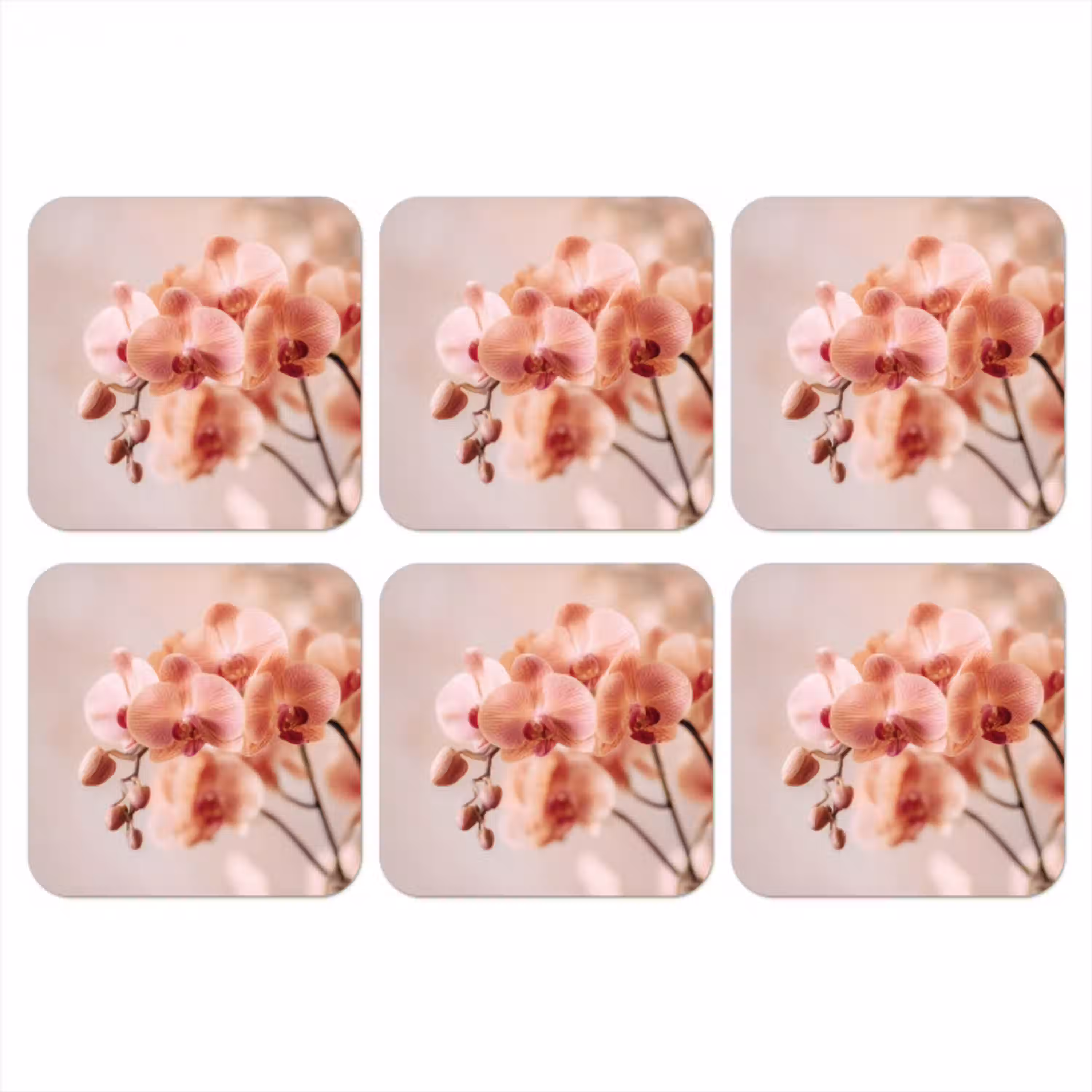 Orchidee - Bloemen - Roze - Bloemblaadjes onderzetter kurk middel -3d