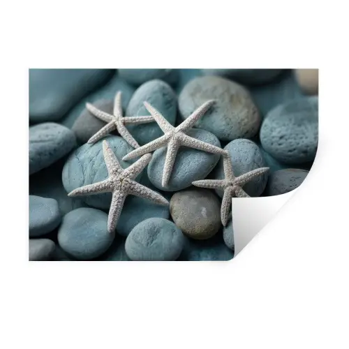 Zeesterren - Stenen - Wit Muursticker klein -3d