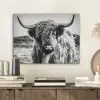 Schotse hooglander - Natuur - Koe - Zwart - Wit PET vilt klein -sfeer1