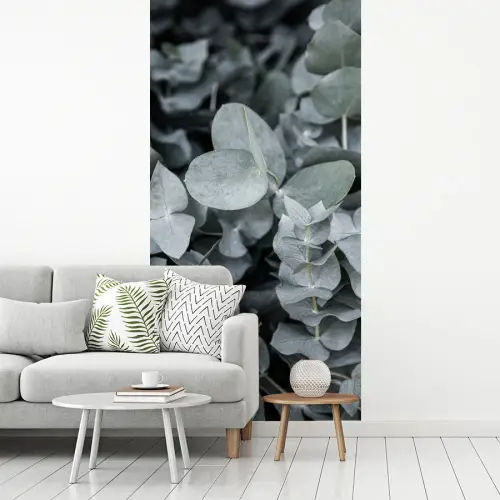 Close-up van eucalyptusplanten uit de natuur fotobehang vinyl groot -woonkamer