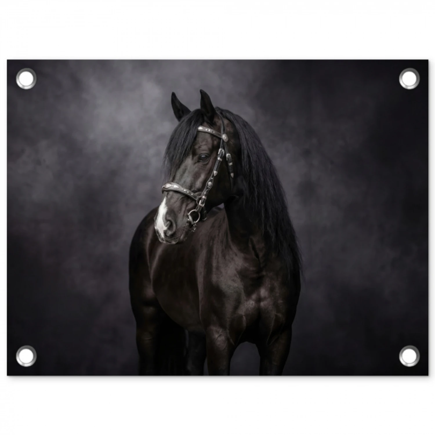 Portret - Paard - Zwart tuinposter los doek klein -3d
