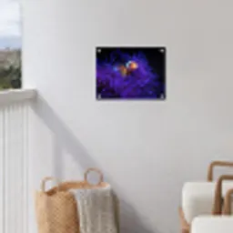 Koraal - Vis - Oranje - Zee tuinposter los doek klein -sfeer8