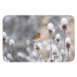 Roodborstje - Gedroogde bloem - Sneeuw - Winter - Vertederend Badmat klein -3d