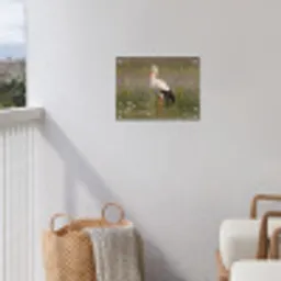 Ooienvaar - Bloemen - Weide - Kleurrijk tuinposter los doek klein -sfeer8