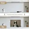 Kat - Kokskleding - Zwart - Wit keuken achterwand spatscherm klein -voor_na_NL