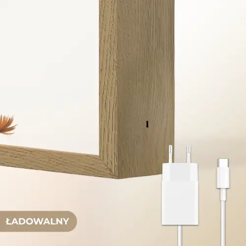 Giraf - Dier - Wilde dieren Light Box met batterij (Wandlamp kind) middel -USP_websiteoplaadbaarNL