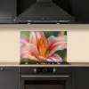 Lelie - Close up - Lichtroze keuken achterwand spatscherm klein -sfeer1