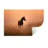 Paard - Grasveld - Zonsondergang Muursticker klein -3d