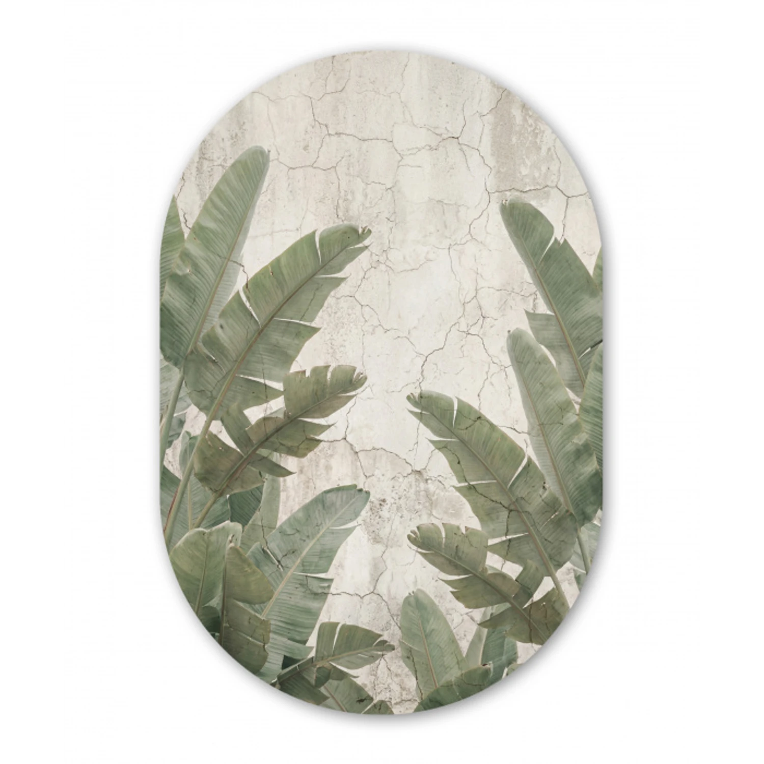 Bananenbladeren - Beton - Groen Wandcirkel Ovaal Forex klein -3d