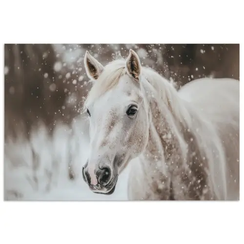 Paard - Wit - Winter - Natuur - Sneeuw - Dieren poster papier klein -3d