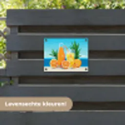 Sinaasappels - Ijsblokjes -  Zee - Illustratie tuinposter los doek klein -sfeer3