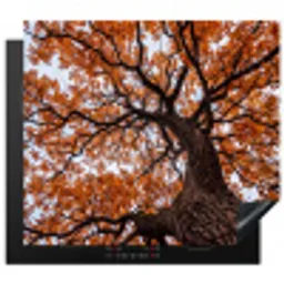 Boom - Bladerdak - Herfst - Oranje - Sfeervol Inductie beschermer vinyl 3mm middel -3d