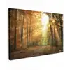Bos - Herfst - Zon - Landschap - Natuur - Bomen - Bladeren canvas 2cm klein -z3d