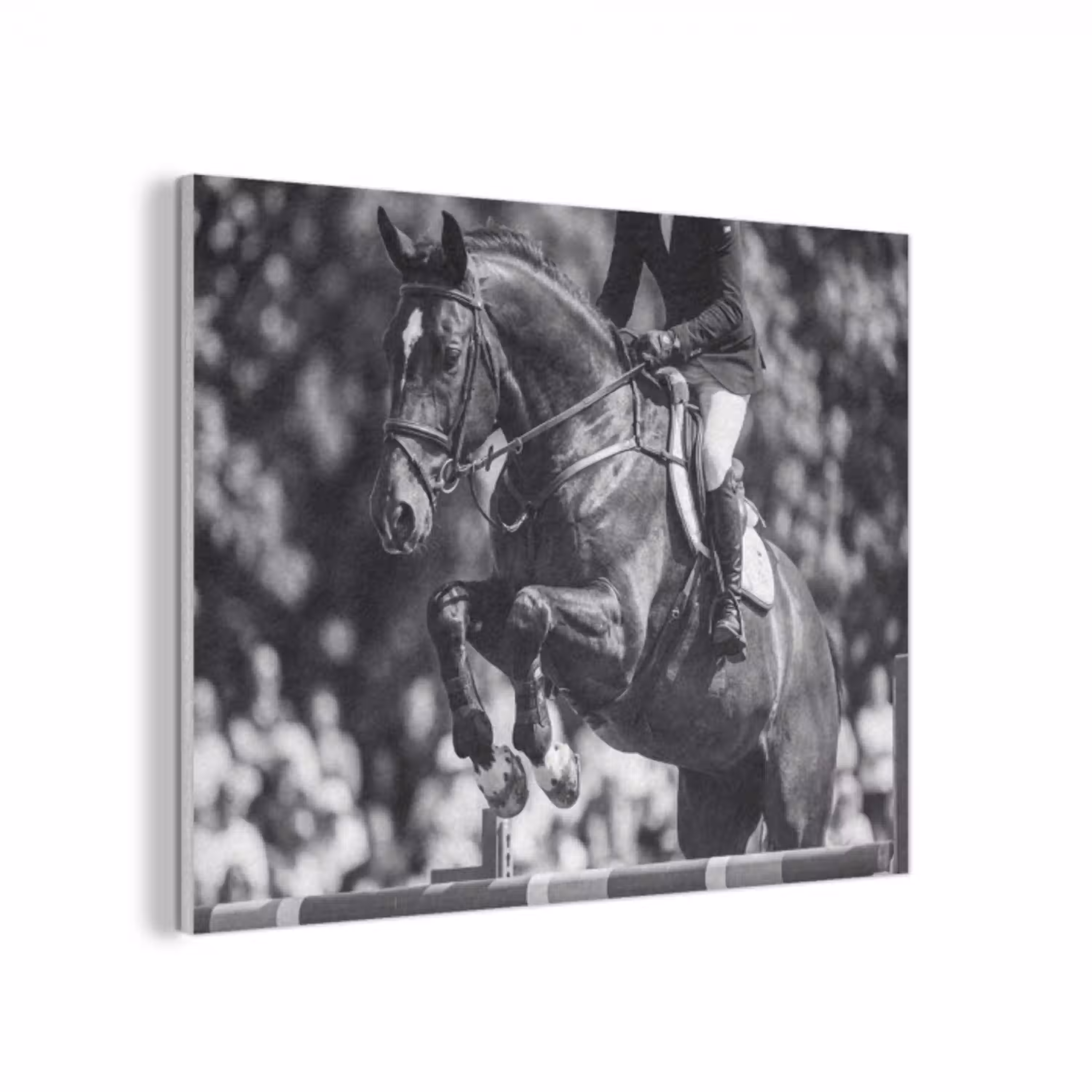 Springen - Paard - Zwart - Wit PET vilt klein -3d