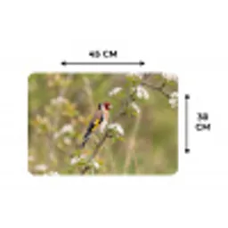 Putter - Bloesem - Lente - Natuur - Kleurrijk Placemat vinyl groot -specs