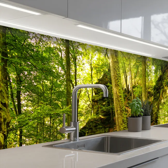 Crédence Cuisine - Arbres - Pierre - Forêt - Nature - Plantes