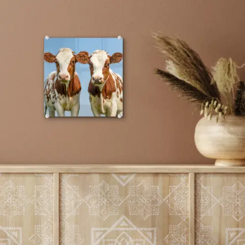 Koeien - Lucht - Dieren - Boerderij - Portret plexiglas 5mm klein -sfeer5