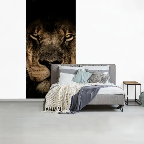 Leeuw - Dieren - Zwart - Portret fotobehang vinyl groot -slaapkamer