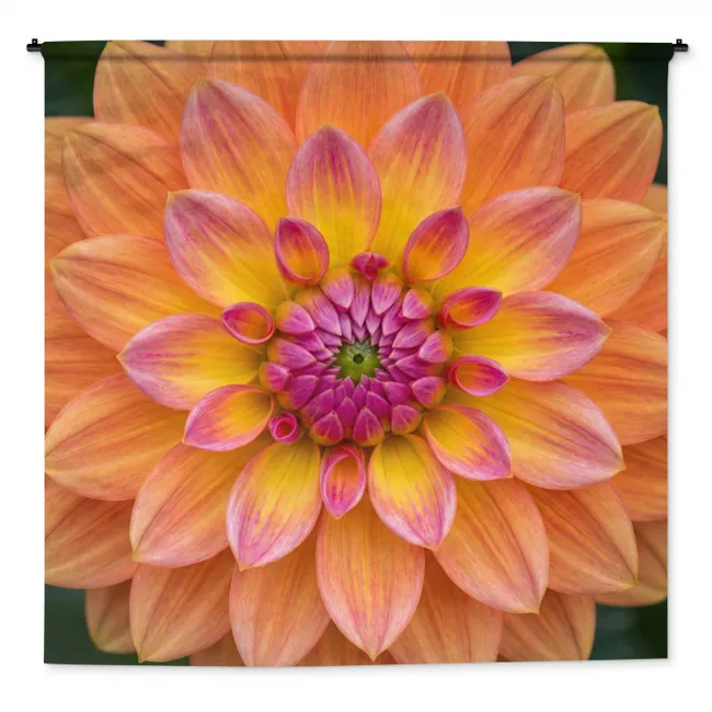 Wandkleed - Dahlia - Bloem - Oranje