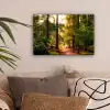 Bos - Pad - Bomen - Groen - Zon - Natuur canvas 2cm klein -sfeer1