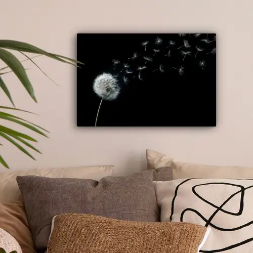 Paardenbloem - Zwart - Natuur canvas 2cm klein -sfeer1