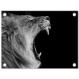 Dieren - Leeuw - Zwart - Wit - Portret tuinposter los doek klein -3d