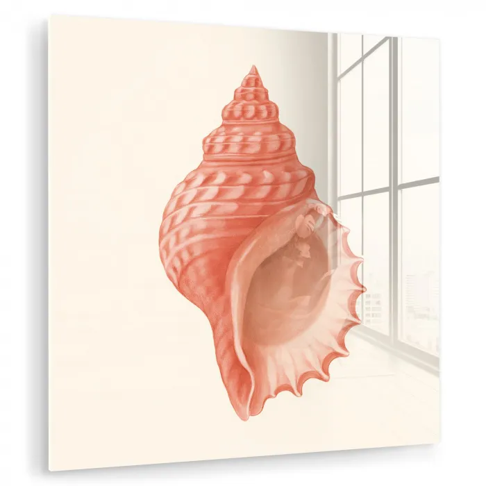 Schelp - Roze - Structuur plexiglas 5mm klein -zzzproduct_nieuw