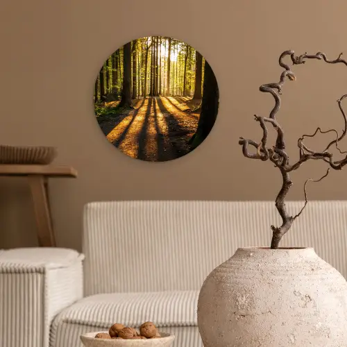 Zon - Bomen - Bos - Landschap - Natuur Wandcirkel kunststof plaat 5mm dik klein -sfeer1
