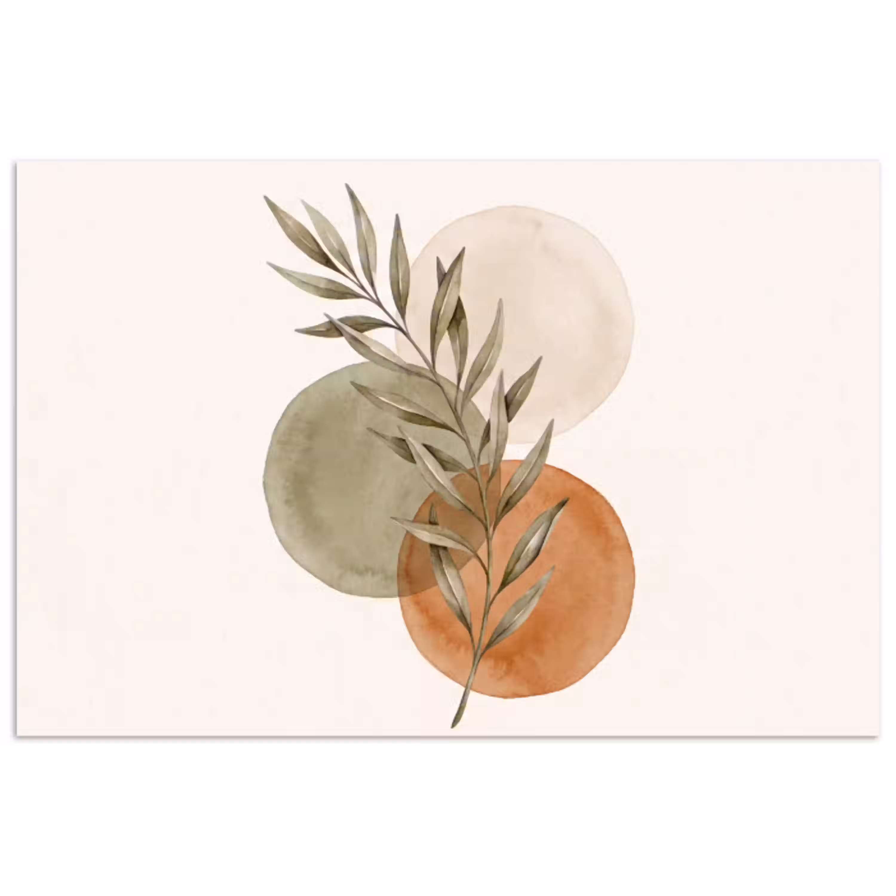Plant - Cirkels - Abstract poster papier klein -3d
