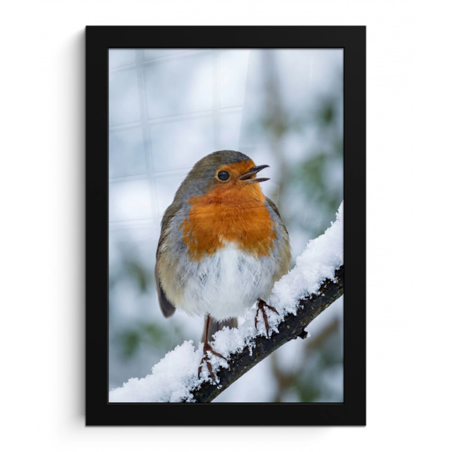Roodborstje - Tak - Sneeuw - Winter - Levendig fotolijst zwart zonder passe partout klein -3d