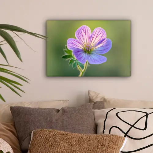 Bloem - Close up - Paars canvas 2cm klein -sfeer1