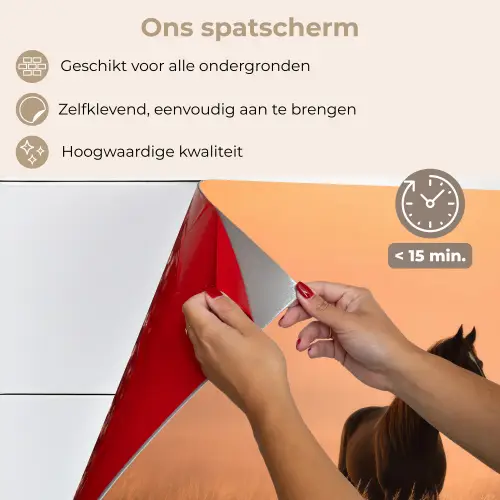 Paard - Grasveld - Zonsondergang keuken achterwand spatscherm klein -spatscherm_NL