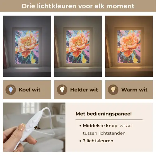Bloemexplosie - Felle spatten - Dynamisch Light Box met kabel (Tafellamp) klein -USP_lichtkleurNL