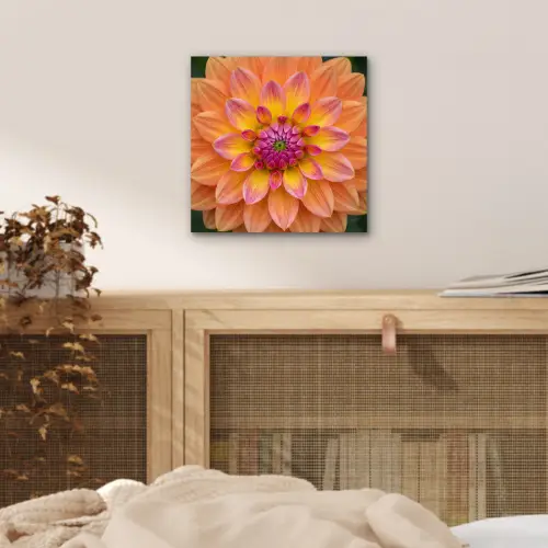 Dahlia - Bloem - Oranje aluminium wit klein -sfeer3