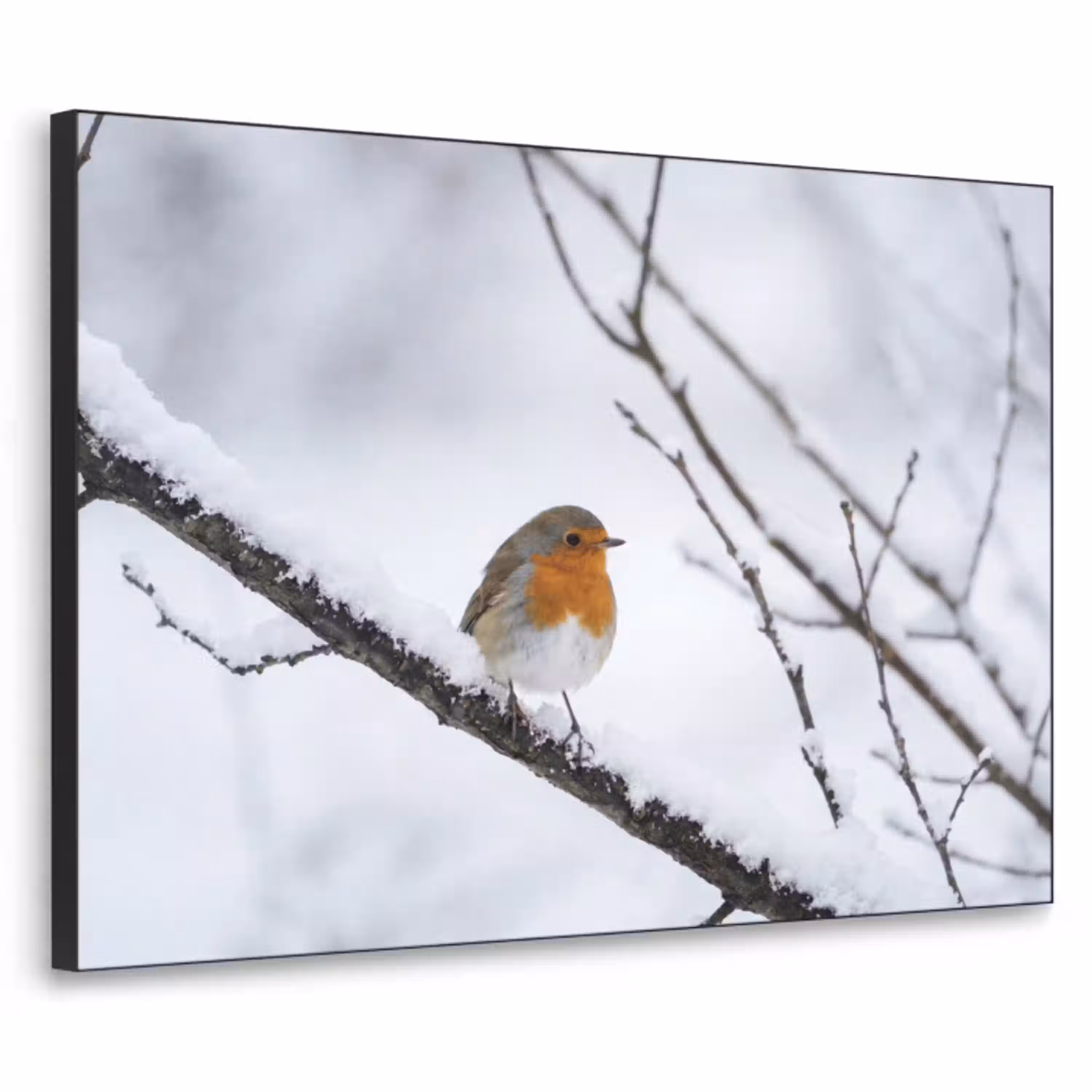 Roodborstje - Tak - Sneeuw - Winter - Levendig Textielframe zwart klein -3d