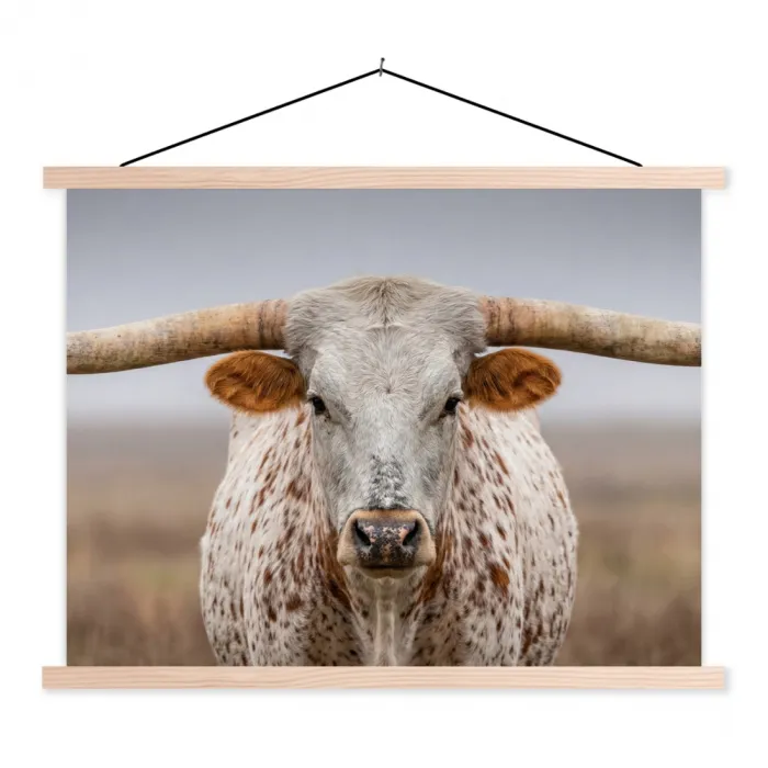 Longhorn - Grasveld - Dier textielposter latten blank klein -3d