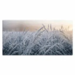 Rijp - Gras - Kristallen - Winter - Minimalistisch Muismat XXL klein -3d_leeg