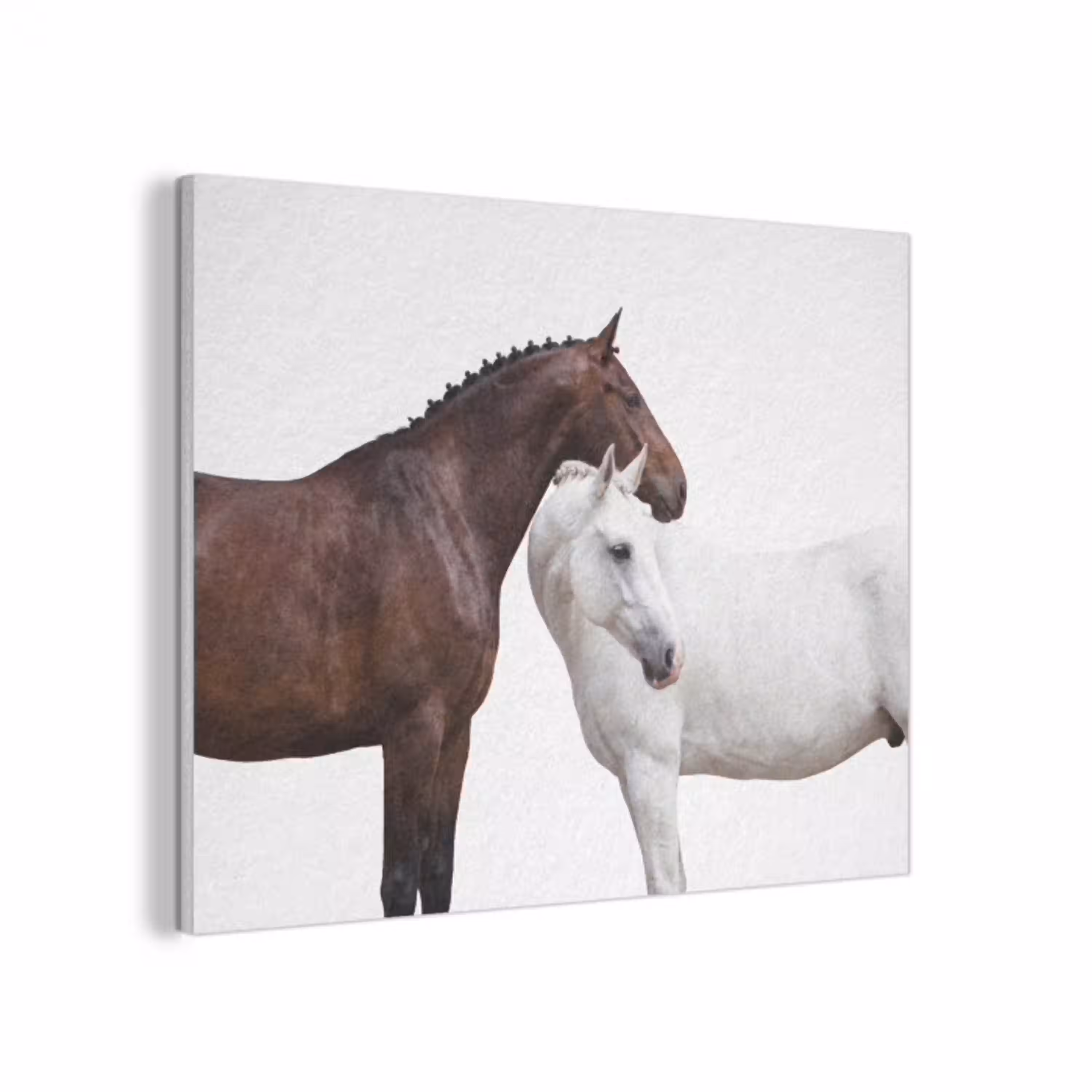 Paard - Modern - Balans PET vilt klein -3d