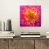 Roze - Dahlia - Kleurrijk aluminium wit klein -sfeer1