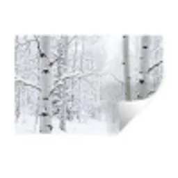 Berkenbomen - Sneeuw - Winter - Bos - Wit Muursticker klein -3d