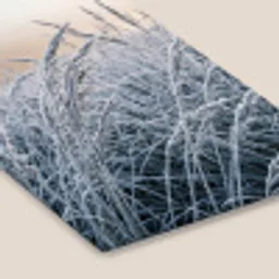Rijp - Gras - Kristallen - Winter - Minimalistisch fotolijst zwart zonder passe partout klein -zsfeer6