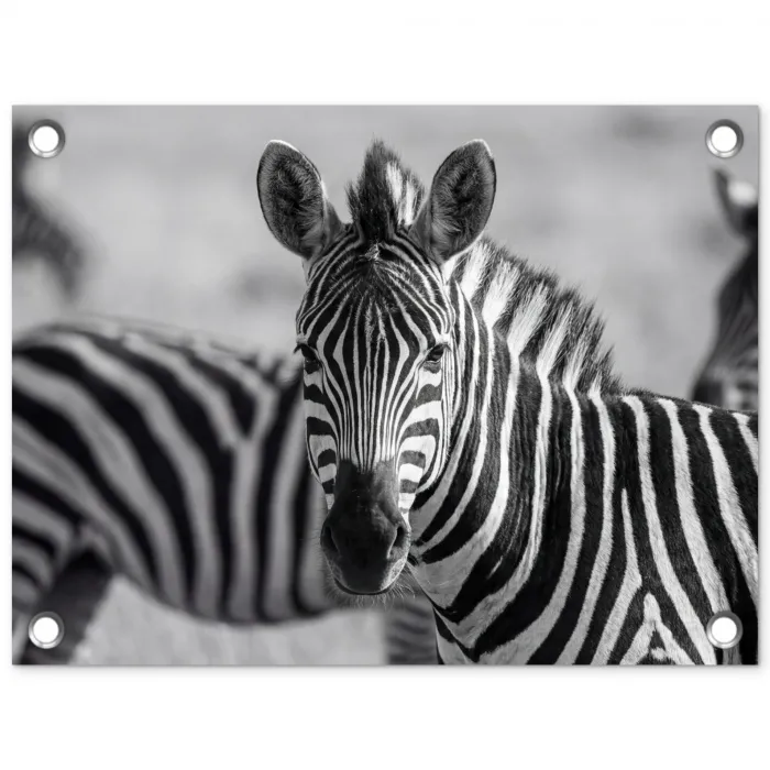 Zebra's - Zwart - Wit tuinposter los doek klein -3d