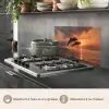 Dolfijnen - Zee - Realistisch keuken achterwand spatscherm klein -usp_FR