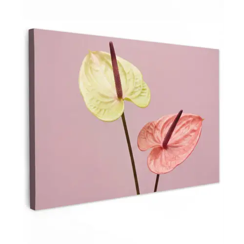 Bloemen - Anthuriums - Geel - Roze Tuinposter op houten frame 2 cm dik klein -3d