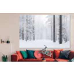 Bos - Sneeuw - Pad - Winter - Stilte forex 5mm xxl -woonkamer